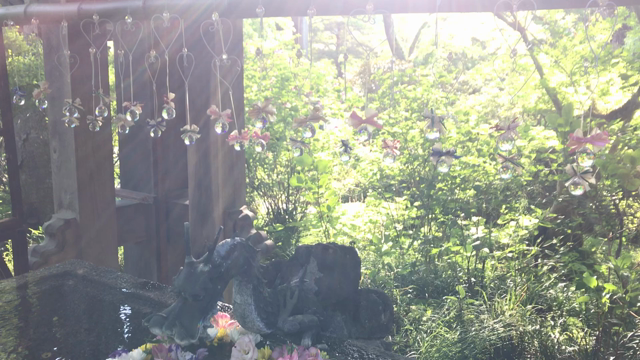 青龍山吉祥寺　花手水の記事動画