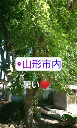 ご先祖様に会いに行きましたの記事動画