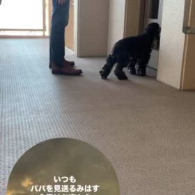 みはすと一緒にあなたが大事だと思う人を見守ってねの画像