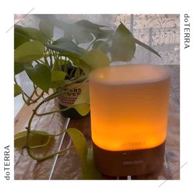 アロマのある暮らしの画像