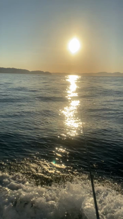 船釣り行ってきましたの記事動画