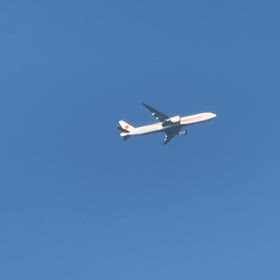 2024/06/29の画像