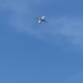 2024/06/16の画像