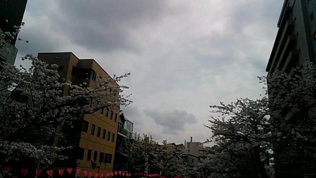 今日の日中は雨の記事動画
