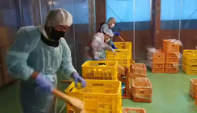 つけ麺 天下★新商品！完売御礼！の記事動画