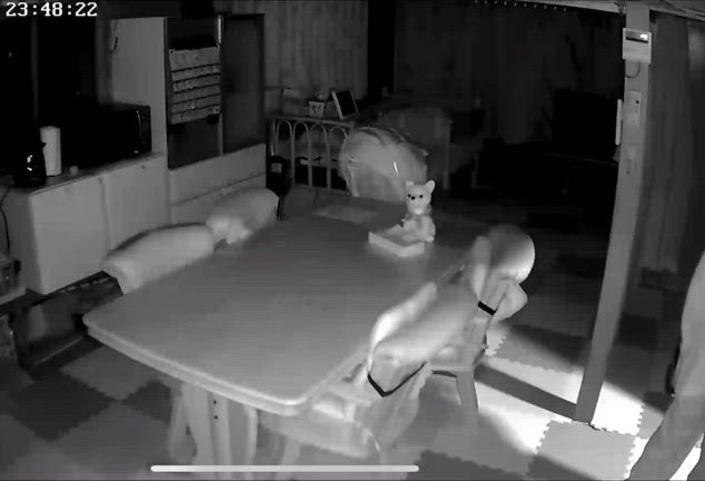 見守りカメラは見た！ばあちゃん！？薬入れはこれ！の記事動画