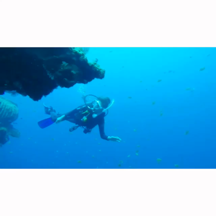 Mermaid mood！！の記事動画