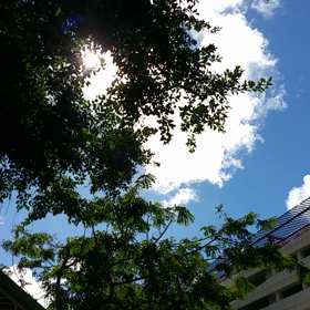 ☆今日のワイキキ☆の画像