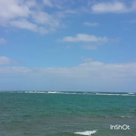 ☆ノースショアへ☆の画像