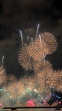 夏のピークと夏の終わりを感じる"釣り＋α"の貸切便の記事動画
