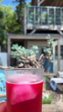 夏のピークと夏の終わりを感じる"釣り＋α"の貸切便の記事動画