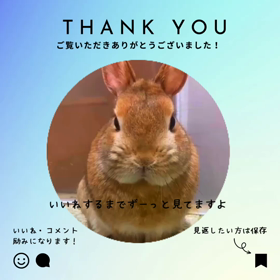 【Tさんのお見合い同行編】結婚カウンセラーが会員様にお話する「リアルな婚活アドバイス」の画像