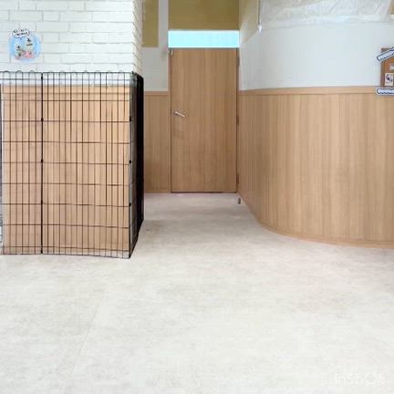 【みなとみらい①】サモエドカフェと花壇展の記事動画