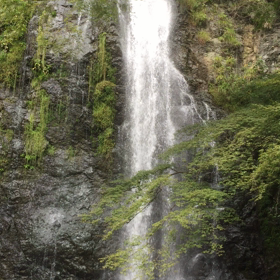 ６点目、カバンの画像