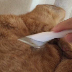 くっそ…の画像