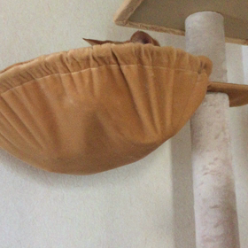 一歩進んで…？の画像