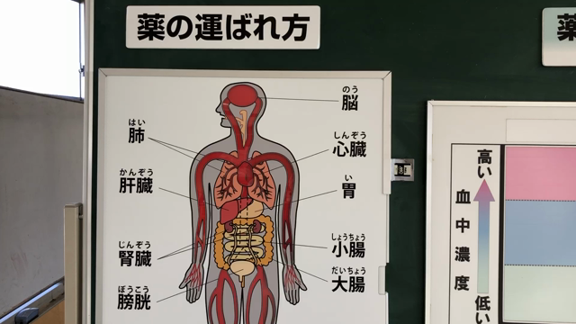 「くすりは正しく使いましょう」小学校で授業をしました。さて生徒さんの反応は？の記事動画