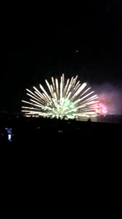 最終日の記事動画
