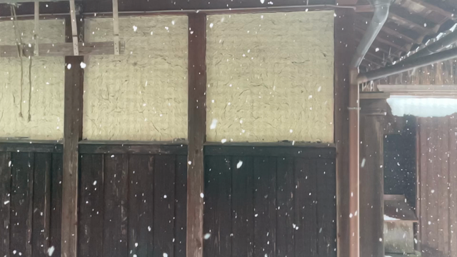 雪の降る日。上を向いてみると、なかなかおもしろいかも。の記事動画