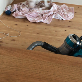 ぼっち犬の画像