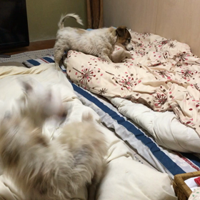 嬉しそうですの画像