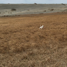 メリハリの画像