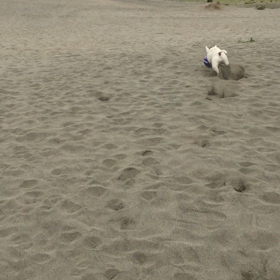 あら やだ！の画像