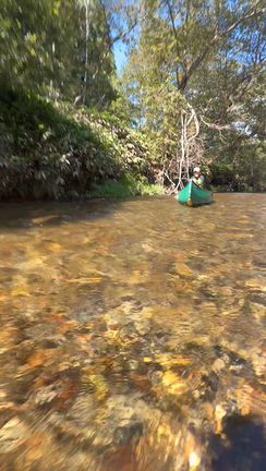 函館ーーーー二股ラジウムーーーーの記事動画