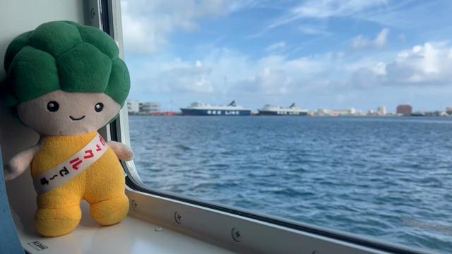 渡嘉敷島への道！いつも持ち歩いてる必需品で今日撮影の記事動画