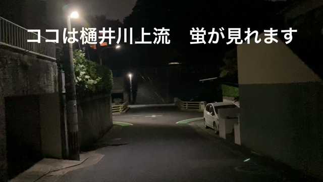 今日も蛍　鑑賞の記事動画
