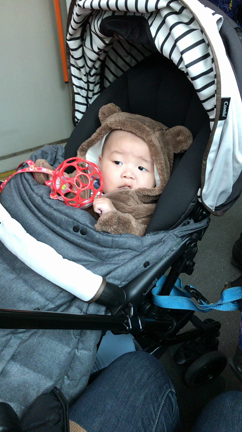 帰省 5m9dの記事動画