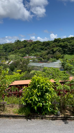 わたしが願う世界の記事動画