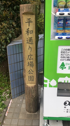 東京本校近くの一本桜♡の記事動画