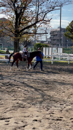 近くの公園の記事動画