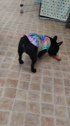 6/14(火)のホテルの様子の記事動画