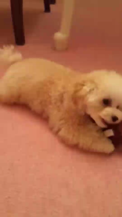 放っておけない子は、心配でたまらないの記事動画