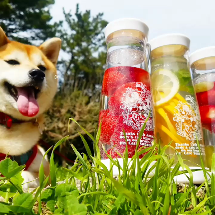 ペットシッター15周年を迎えました！の記事動画