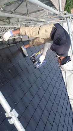 Graco！の記事動画