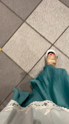 残暑お見舞い申し上げます✨の記事動画