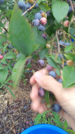 大人の遠足？！晴れと早起きと私。の記事動画