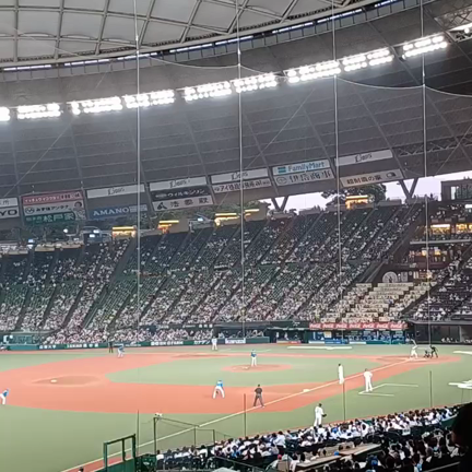 ☆ライオンズ対ファイターズ☆の記事動画