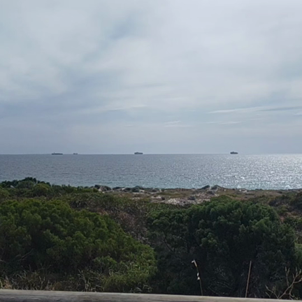 パース留学エージェント　BBQ  親子海外留学の記事動画