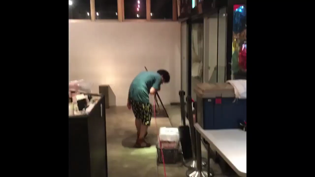 ハチゲキ ワンマン 追記の記事動画