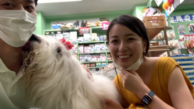 バチェラーデート♯2の御犬様たちですの記事動画