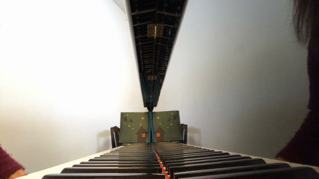 ♪音楽会無事に終了しましたの記事動画