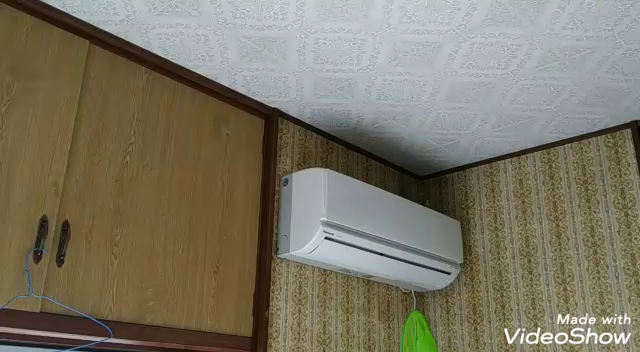 珍客現る！の記事動画