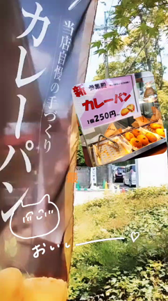 参集殿カレーパン、美味しいよー♪(2021.5.22)の記事動画