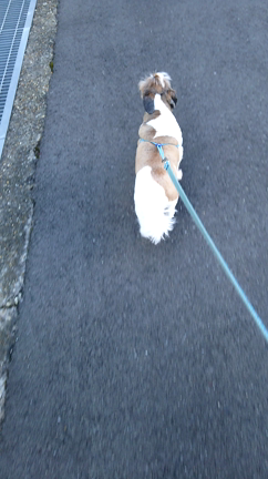 チェンジの記事動画