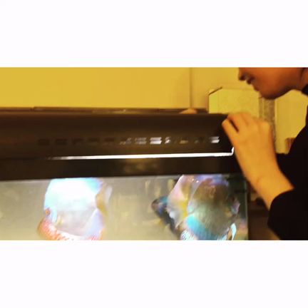 バレンタインの記事動画