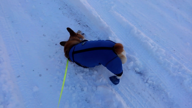 別世界を満喫の記事動画